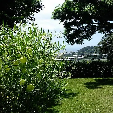 Quinta Das Bolas Ponta Delgada  Exterior photo