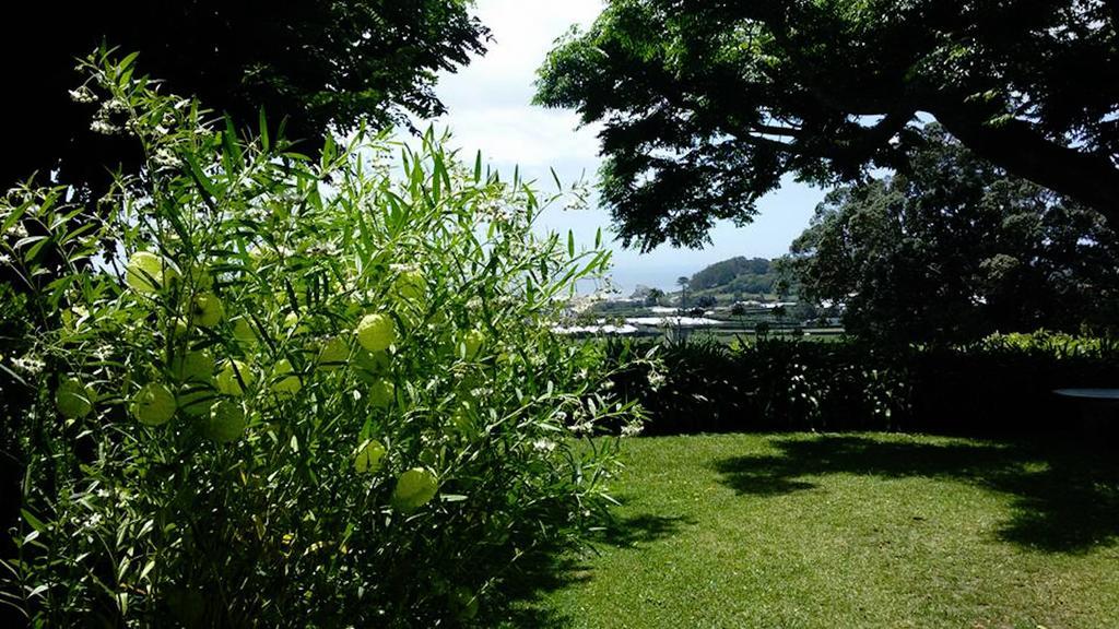 Quinta Das Bolas Ponta Delgada